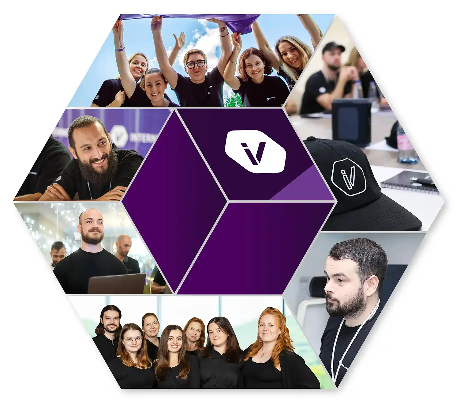 Career - Internet Vikings